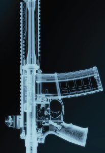 Image courtesy of Daniel Defense.