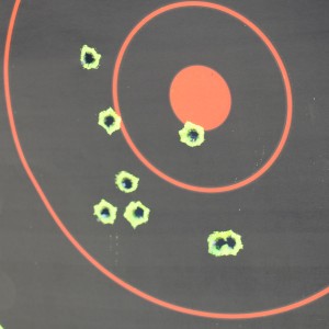50 yard zeroing target 