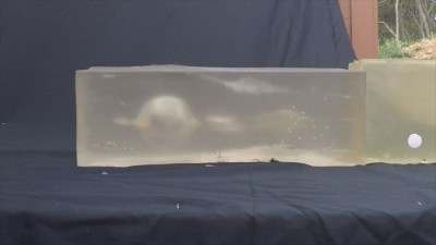 Heizer POCKET AK and POCKET AR Gel Test Winchester 223 temporary one cavity flame beginning to form at rear of temporary cavity.