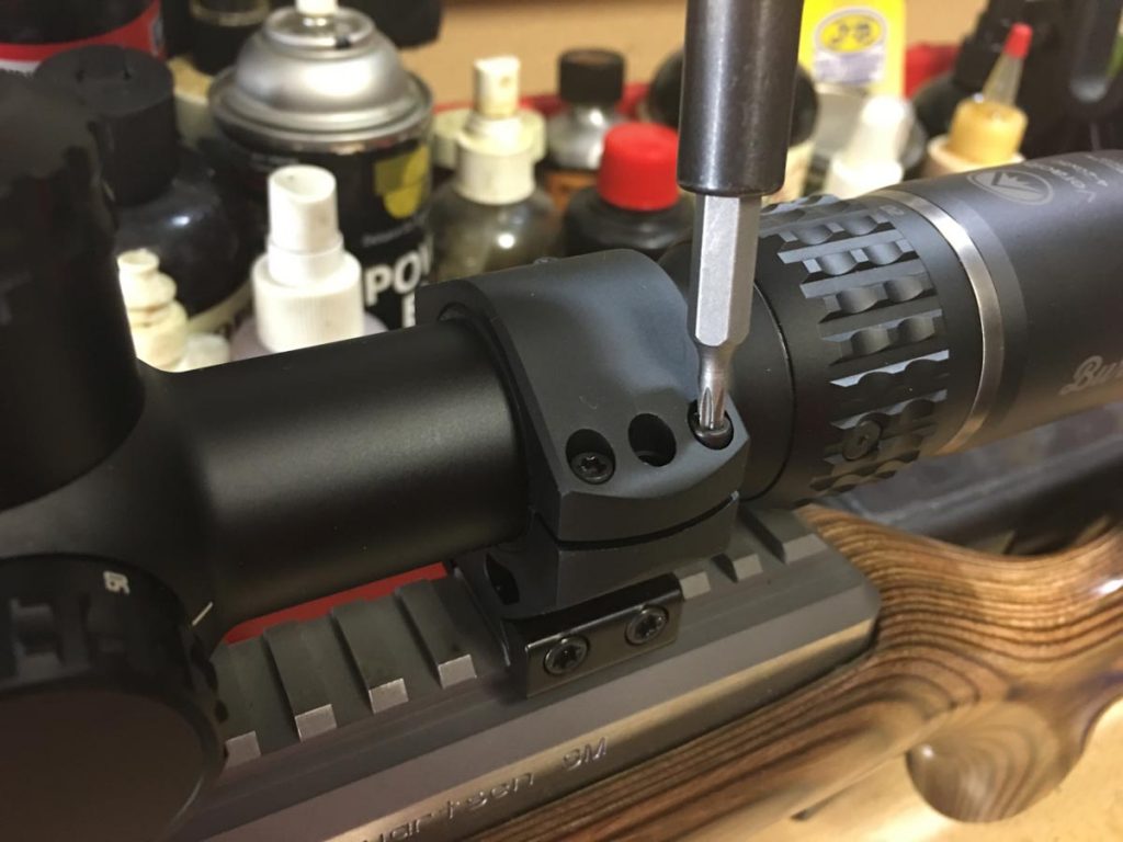 I mounted the Burris Veracity with Burris XTR Signature rings. 
