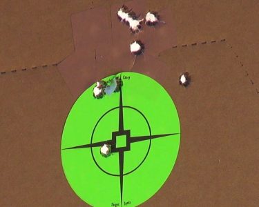 A 10-shot groups at 20 yards with Herter's ammunition. 