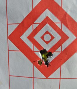 SAVAGE A17 Synthetic.17 HMR! - Review - (&Heads Up Current Rebates) This is 10 rounds from 100 yards, I floated a couple of them.