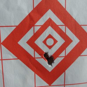 SAVAGE A17 Synthetic.17 HMR! - Review - (&Heads Up Current Rebates) SAVAGE A17 Synthetic.17 HMR! - Review - (&Heads Up Current Rebates)