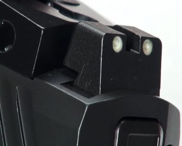 The steel sights are the perfect height to co-witness and serve as backups. 