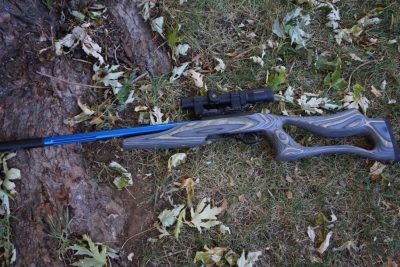 A .22 is a perfect gun to beautify. 