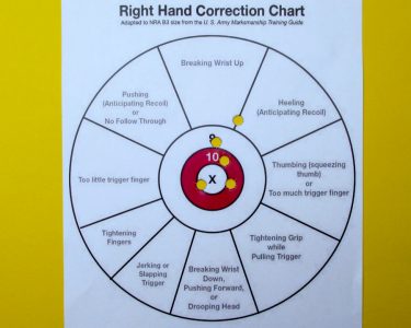 Developed for one-handed bullseye pistol shooting, trigger pull assessment targets like this one are where many people start their quest to improve their marksmanship skills.
