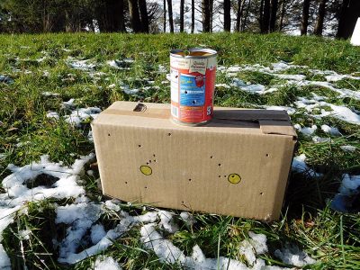 Savage Rascal Rebate: Save Some Cash on Ultimate Youth Starter Rifle! You don’t have to append a lot of money to have a fun shooting experience.