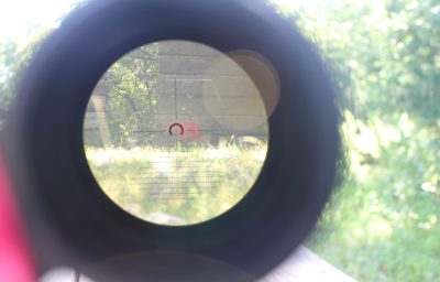 Long-Range Sniper Optic for Under 0? The Primary Arms 4-14x44mm Riflescope—Full Review.
