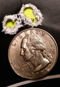 A Universal Magnum? The Story of the Amazingly Capable .300 Win. Mag. A Universal Magnum? The Story of the Amazingly Capable .300 Win. Mag.