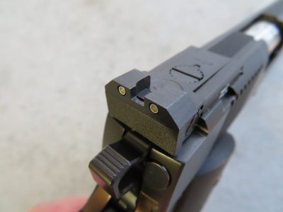 Loaded for Bear: Dan Wesson Bruin 10mm Long Slide – Full Review
