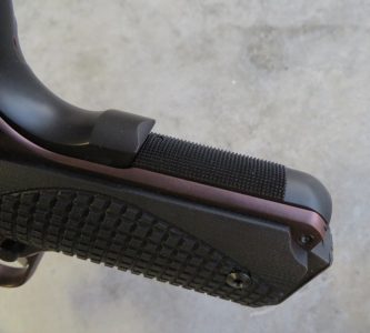 Loaded for Bear: Dan Wesson Bruin 10mm Long Slide – Full Review