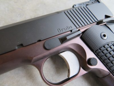 Loaded for Bear: Dan Wesson Bruin 10mm Long Slide – Full Review