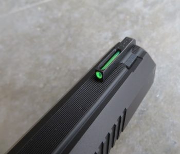 Loaded for Bear: Dan Wesson Bruin 10mm Long Slide – Full Review