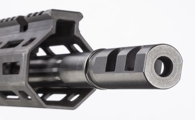 Big Boar Buster: Going Hog Wild with the New Savage MSR 10 Long Range .308