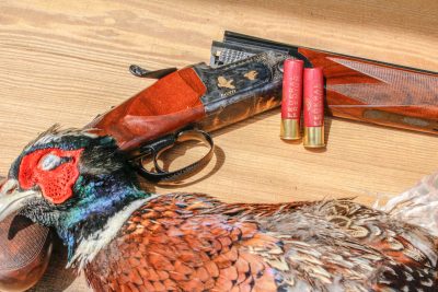 A Class Act: Fausti Class LX 28 Gauge — Full Review