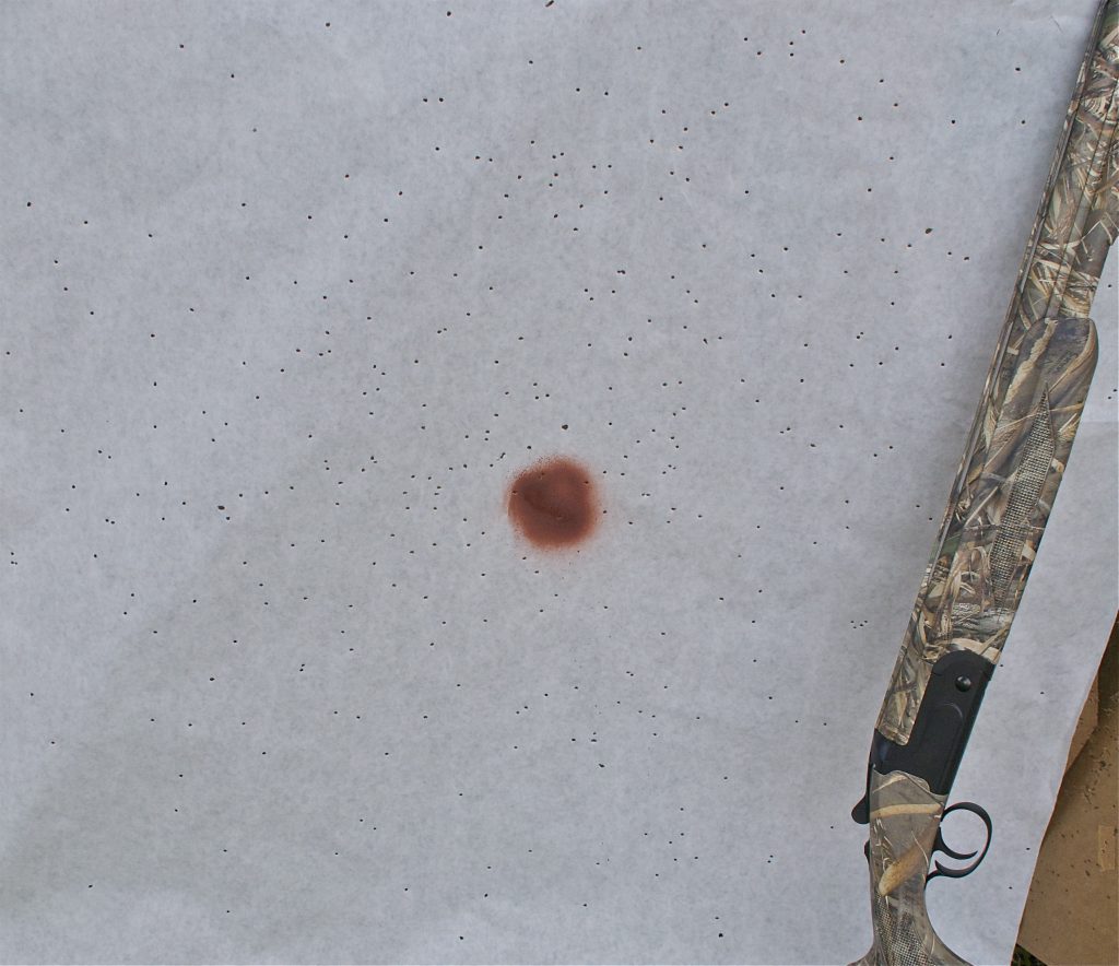 Waterfowl Artillery: CZ Swamp Magnum