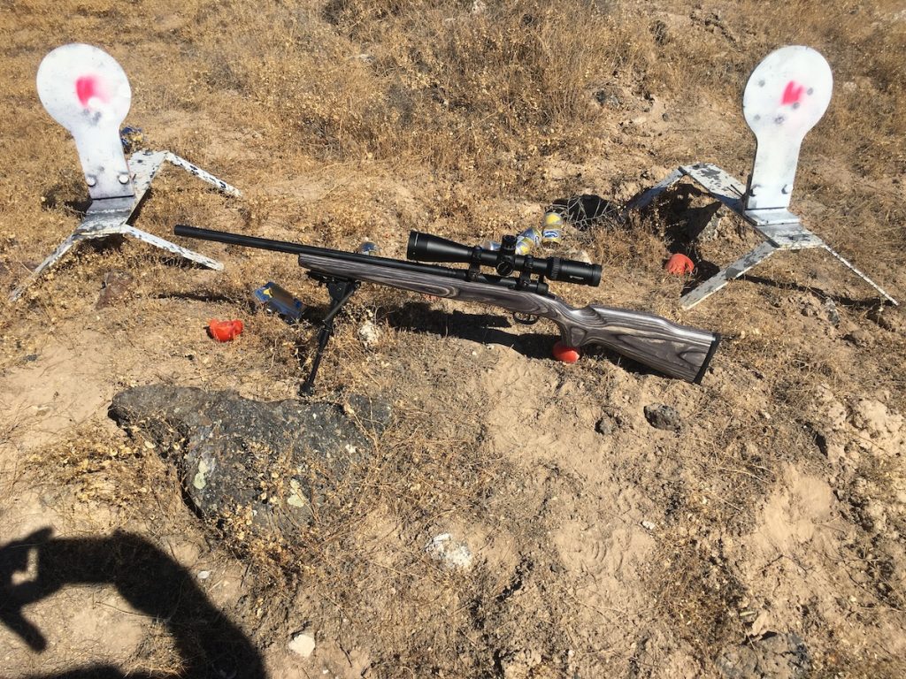 Rimfire Shootout: Savage B Series .17 HMR vs. .17 WSM