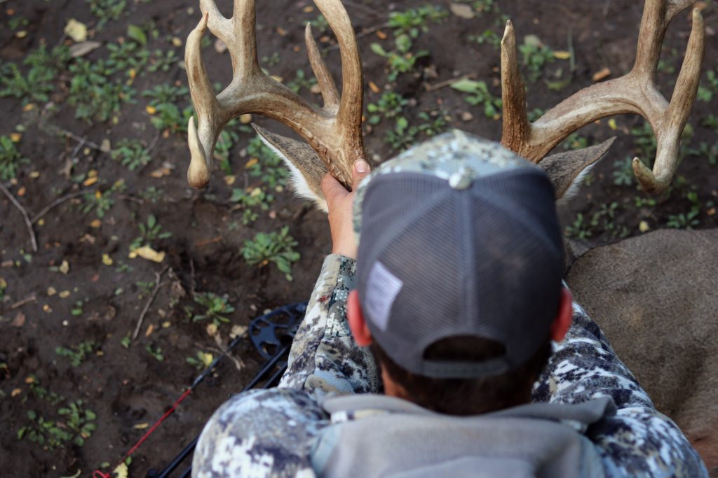 2017's Top 5 Best Days of the Whitetail Rut