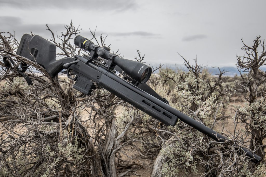 Remington 870 DM Magpul & 700 Magpul v. Nevada Coyotes — Full Review Remington 870 DM Magpul & 700 Magpul v. Nevada Coyotes — Full Review