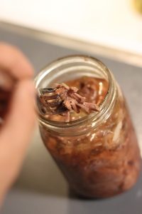 Field to Table: Prepping Wild Game In the Off Season- Canned Antelope