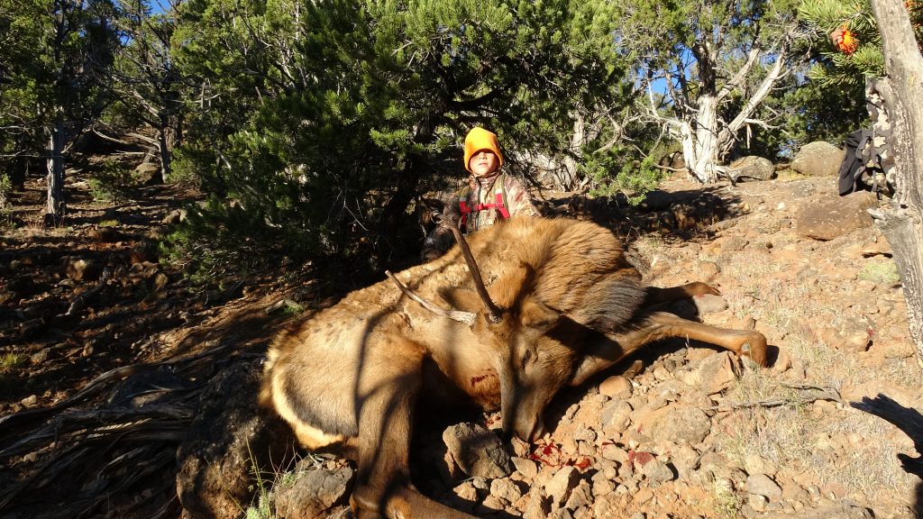 Nikon’s New LaserForce Range-Finding Binocular: Quality rangefinding Binos for under ,000