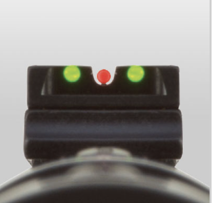 Black Bear vs. the Mossberg 464 SPX Lever Gun