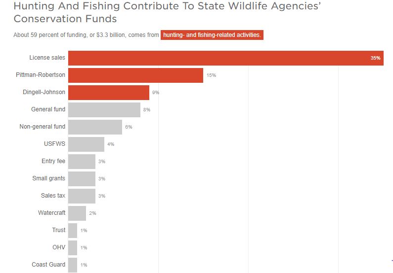 Decline in Hunting Poses Serious Threat to Conservation Efforts