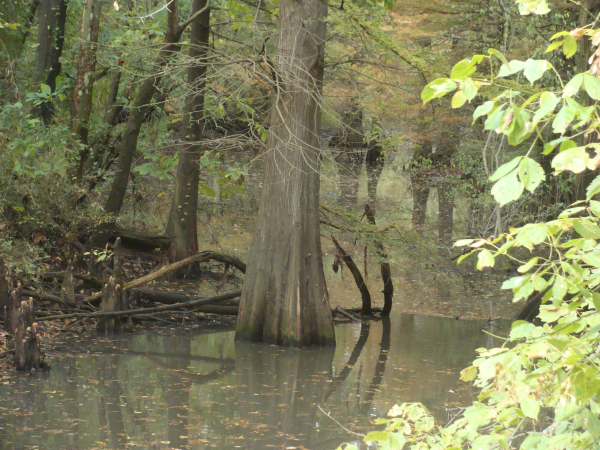 How To Make Sure You Only Get Lost When You Want To