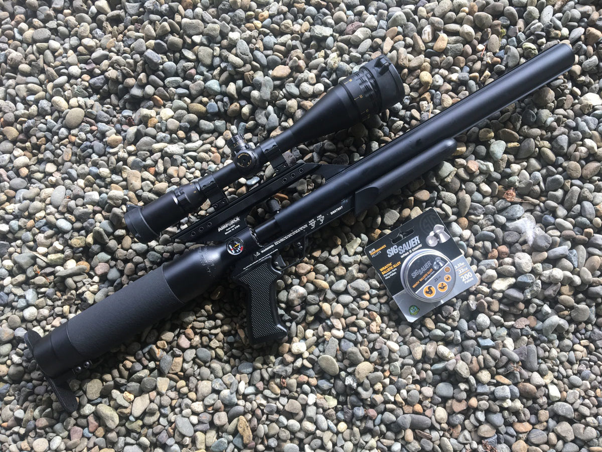 Training with Air Guns Shoot at Home with High Quality Repetitions and