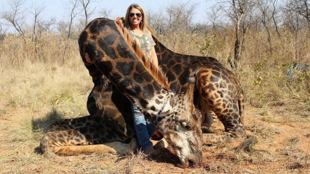 Kentucky Woman Slammed as ‘White American Savage’ for Hunting 'Black' Giraffe