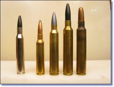 Busting the Magnum Myth! - Choosing YOUR Ideal Hunting Cartridge