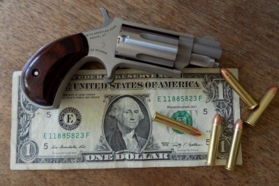 The NAA Mini Revolver: Defensive Gun or Novelty?