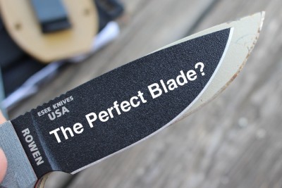 Can One Knife Do it All? The Perfect Knife Quest Update