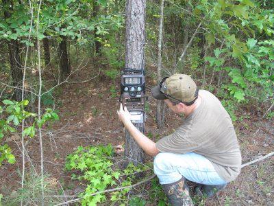 Deer Camp: Top Four Tips to Scouting Now for Deer Season Success