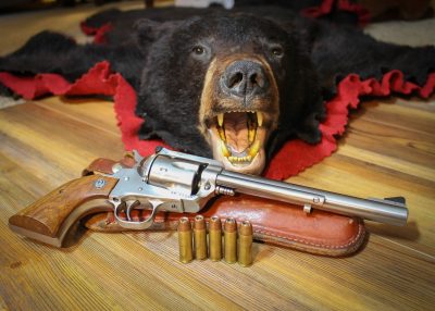When Bears Attack — Top Sidearms to Carry in Bear Country