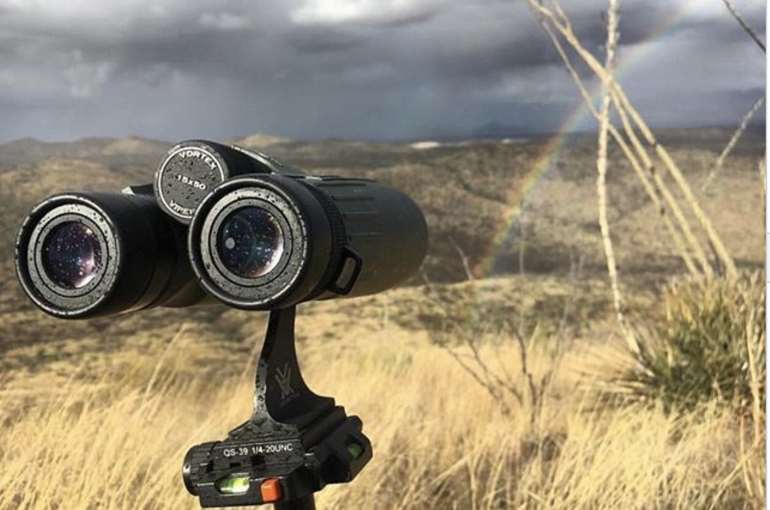 The Best Binos for the Money — Vortex Viper HD 8x42mm & Impact 850 Rangefinder