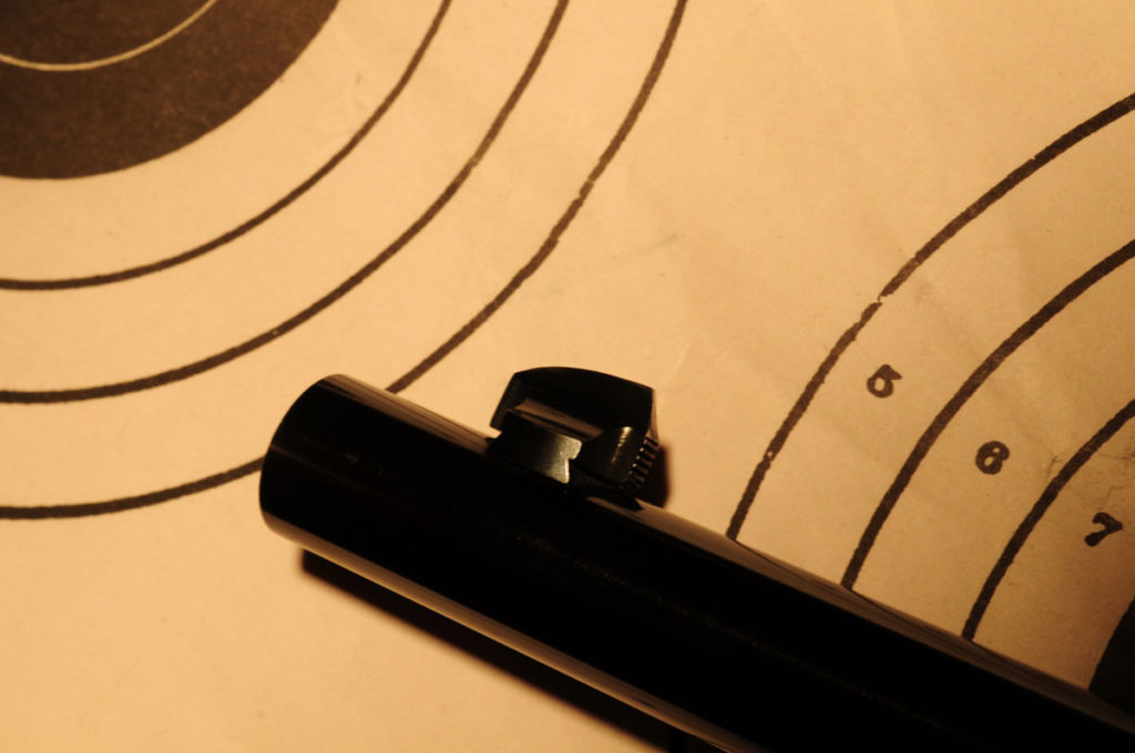 1895: The Last Lever-Action 1895: The Last Lever-Action