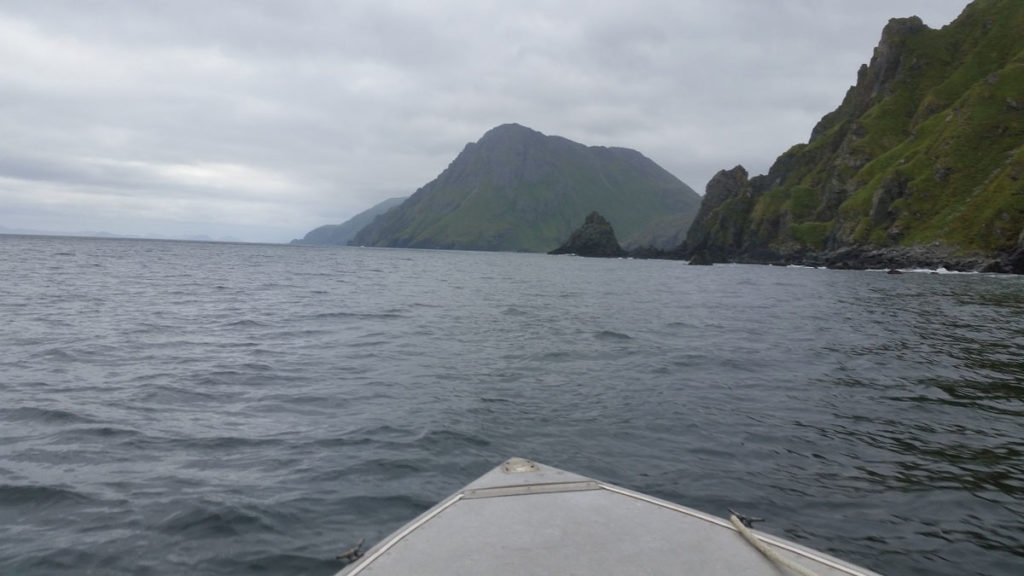 Aleutian Adventures - Caribou Aleutian Adventures - Caribou