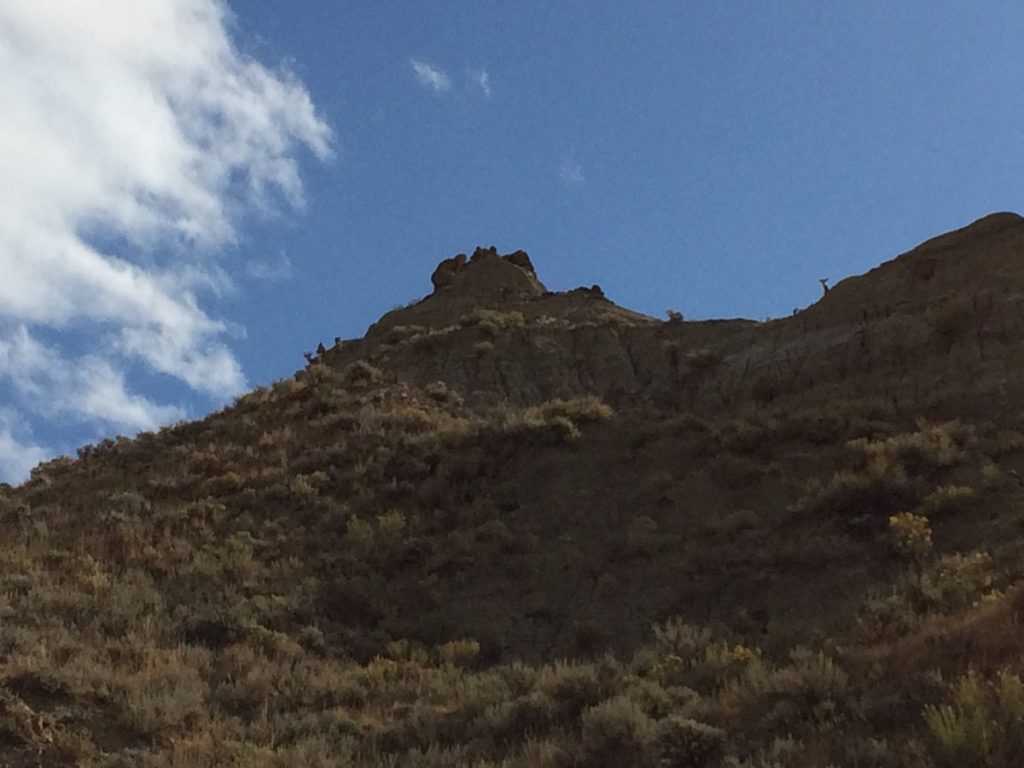 Lessons Learned the Hard Way: Part II Lessons Learned the Hard Way: Part II