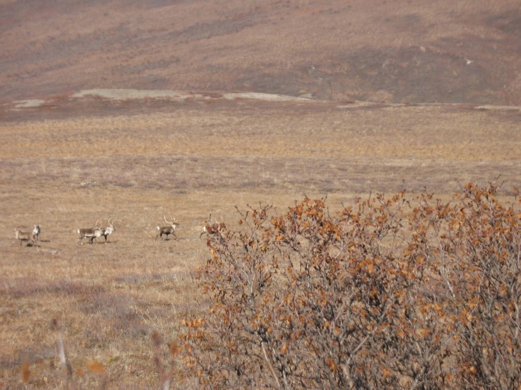 Lessons Learned the Hard Way: Part II Lessons Learned the Hard Way: Part II