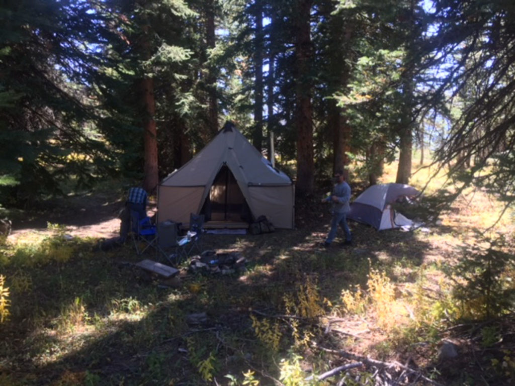 Bagging a Billy Bagging a Billy