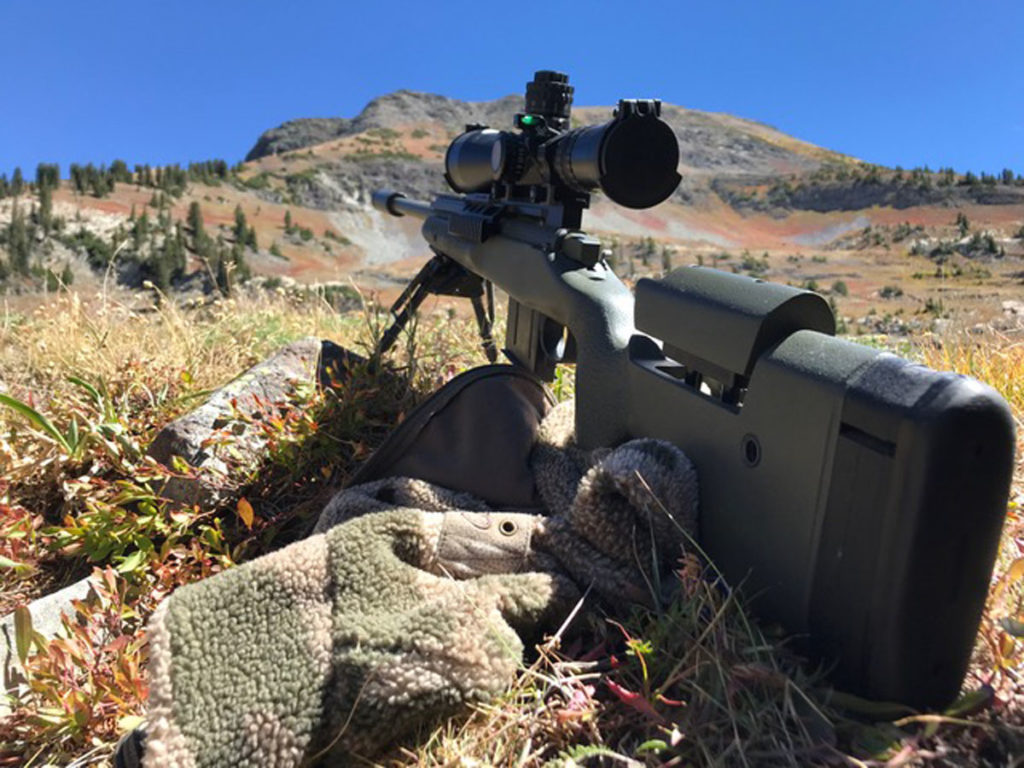 Bagging a Billy Bagging a Billy