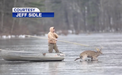 WATCH: Hunters Save Trophy 8-Pointer Stuck on Frozen Lake