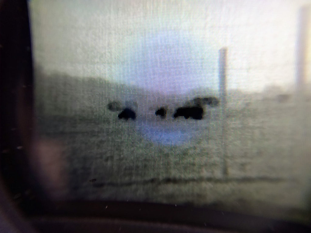 First-Look and Review: The New LTO Tracker2 Thermal From Leupold First-Look and Review: The New LTO Tracker2 Thermal From Leupold