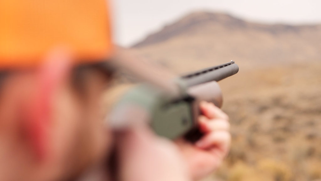 CZ 712 G2 Shotgun - Best Budget Semi-Auto Hunting Shotgun Tested - Review (videos) CZ 712 G2 Shotgun - Best Budget Semi-Auto Hunting Shotgun Tested - Review (videos)