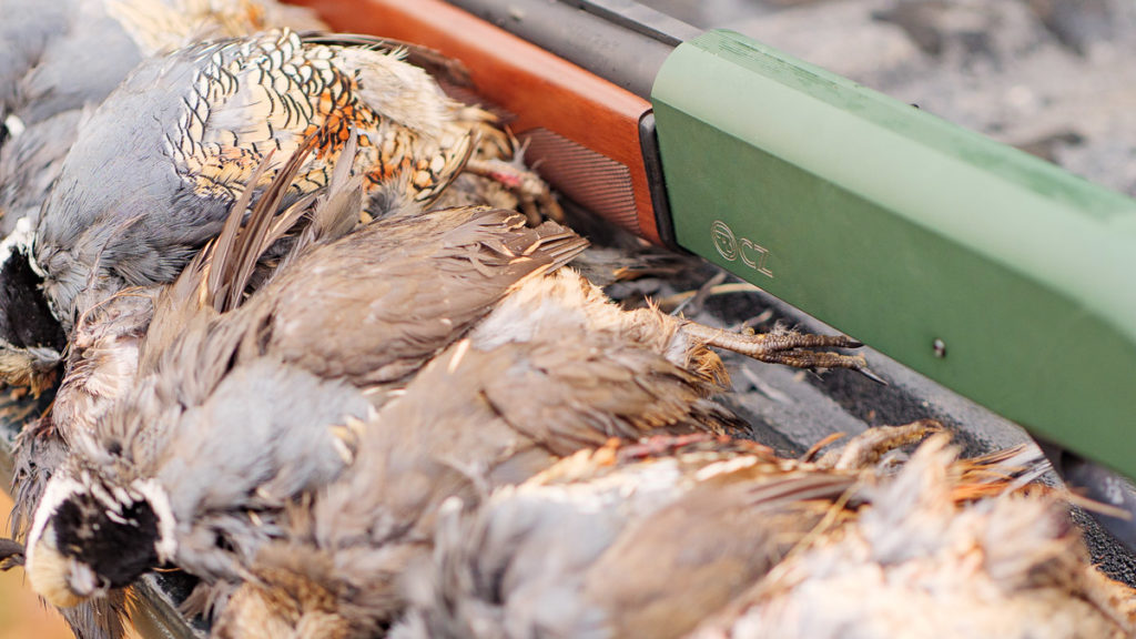 CZ 712 G2 Shotgun - Best Budget Semi-Auto Hunting Shotgun Tested - Review (videos) CZ 712 G2 Shotgun - Best Budget Semi-Auto Hunting Shotgun Tested - Review (videos)