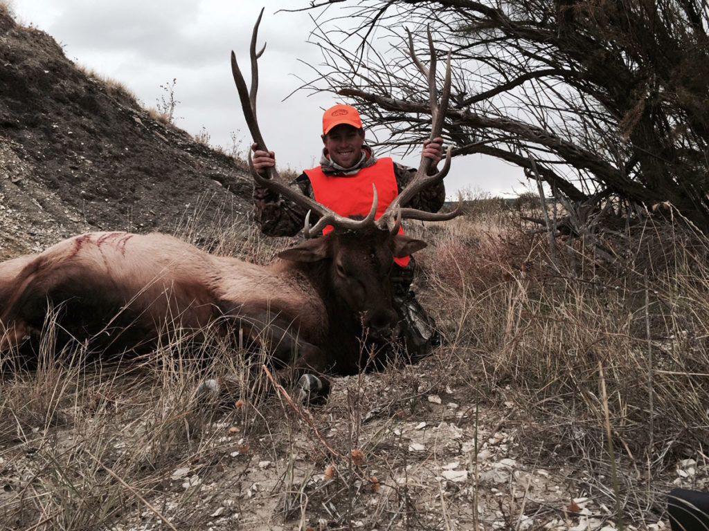 Elk Draw - Tips For Success Elk Draw - Tips For Success