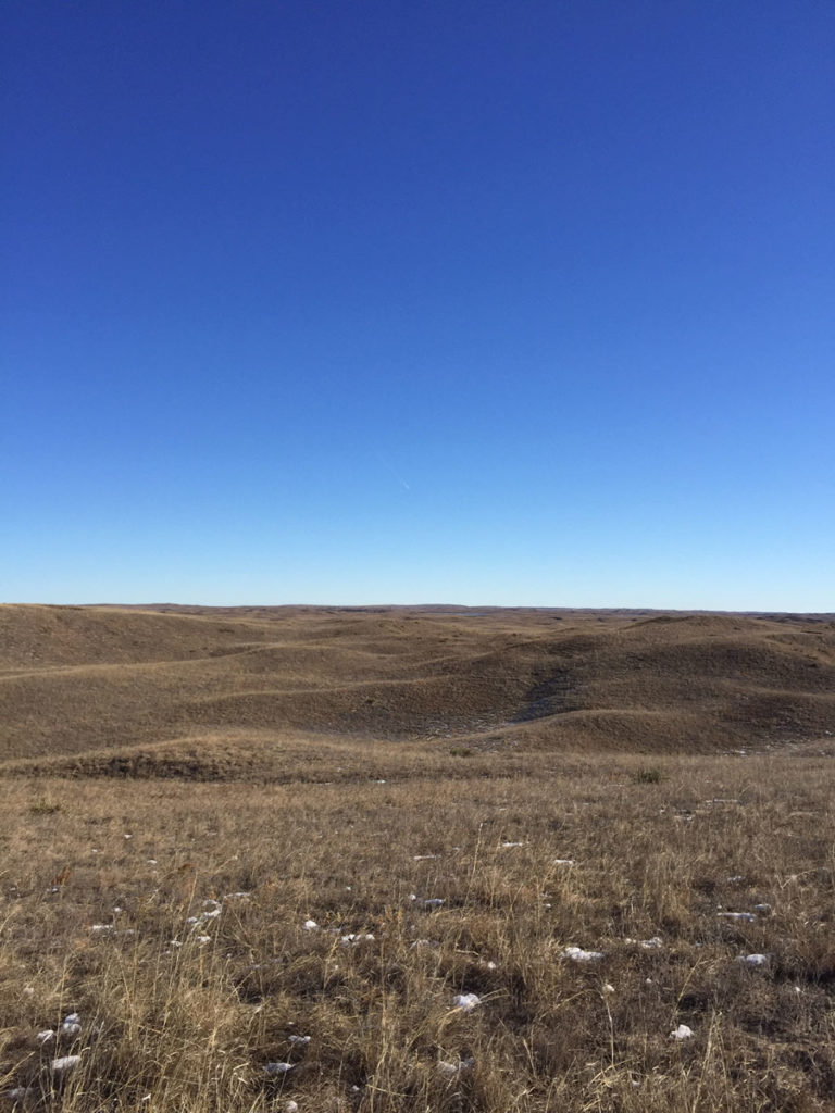 Late Season Does Late Season Does