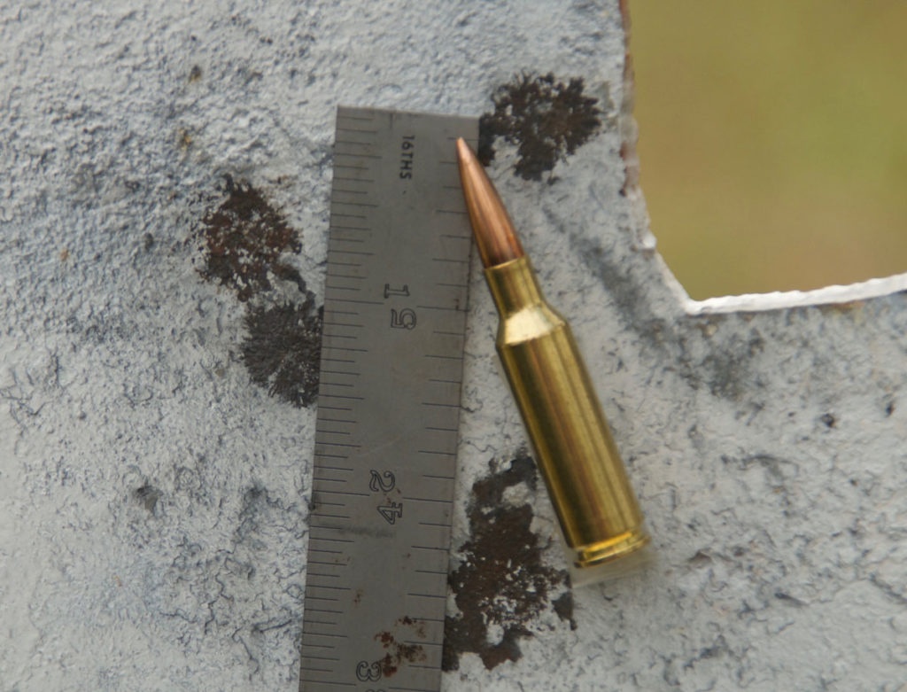 The Ultimate Valkyrie AR Build The Ultimate Valkyrie AR Build