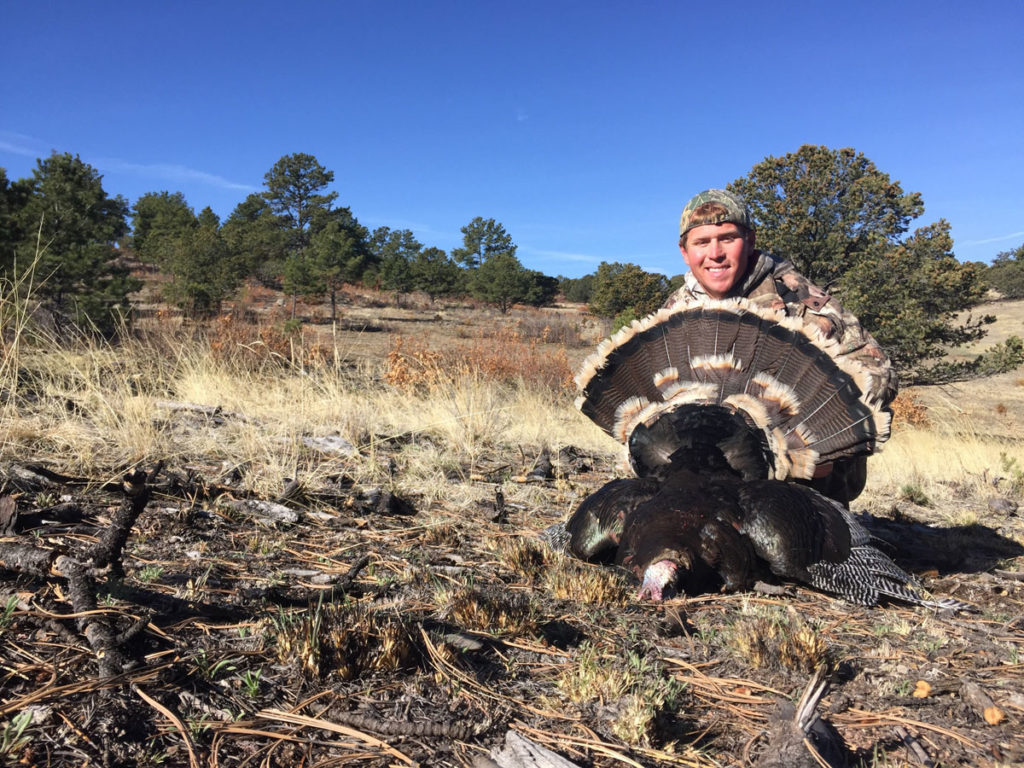 Spring Turkey Hunting Is Coming and It's a Great DIY Hunt Opportunity Spring Turkey Hunting Is Coming and It's a Great DIY Hunt Opportunity